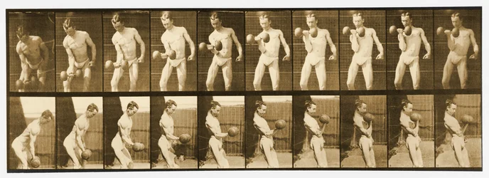 Imagem da série &39;Animal Locomotion&39;, c.1887